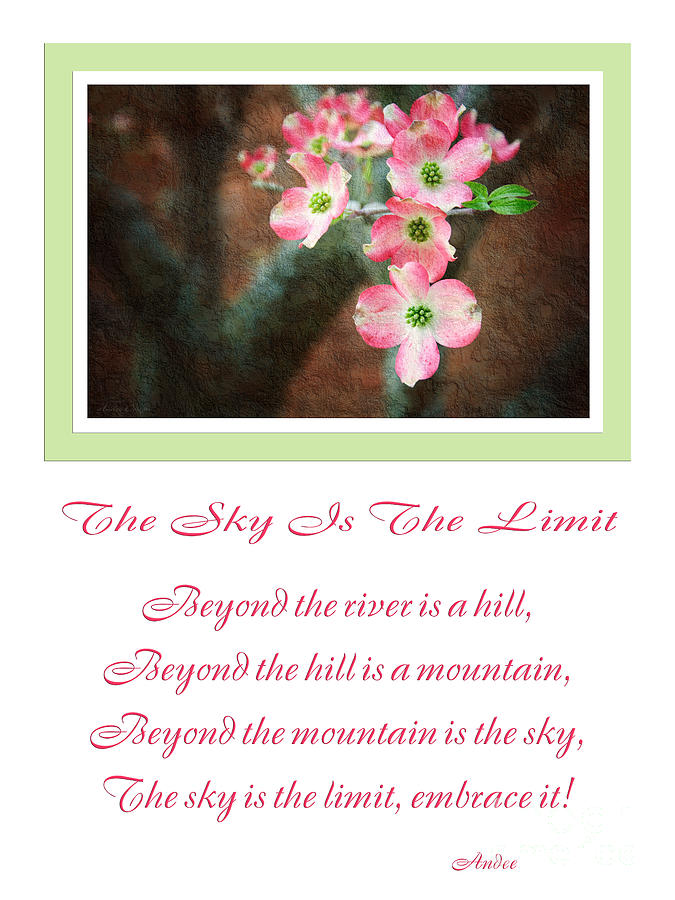 Inspirational Photograph - The Sky Is The Limit V 12 by Andee Design