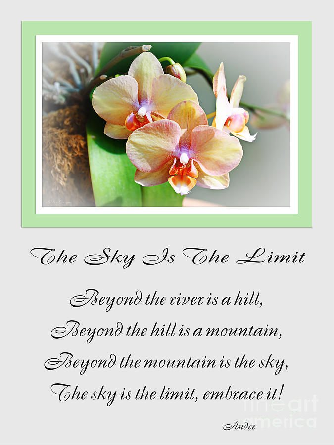 Orchid Photograph - The Sky Is The Limit V 4 by Andee Design
