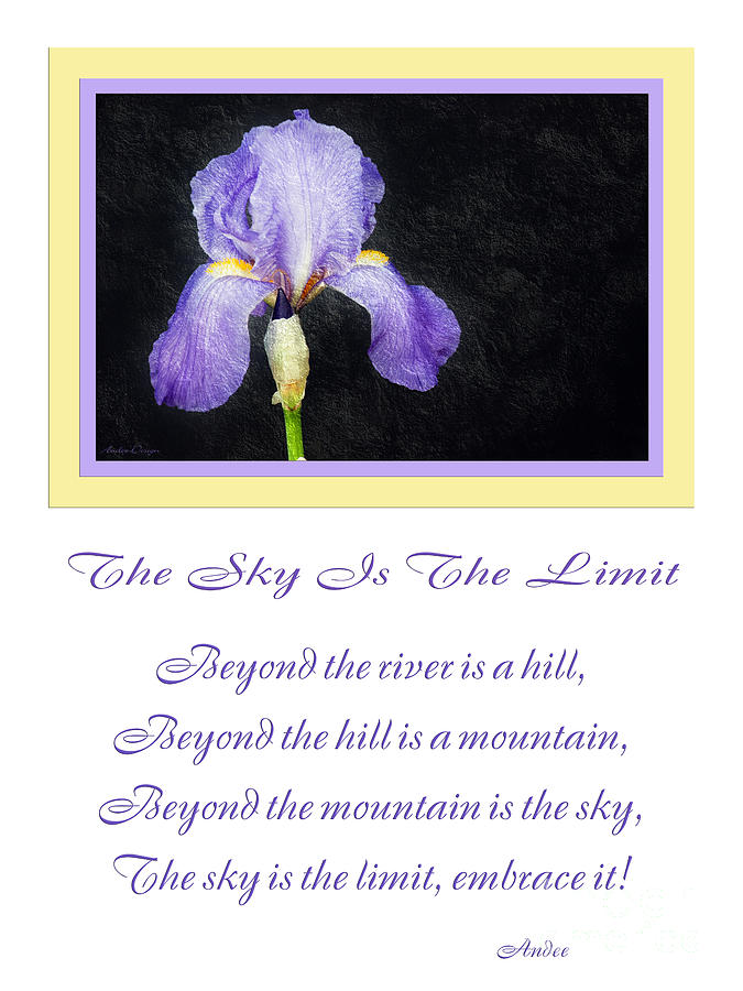 Iris Photograph - The Sky Is The Limit V 9 by Andee Design