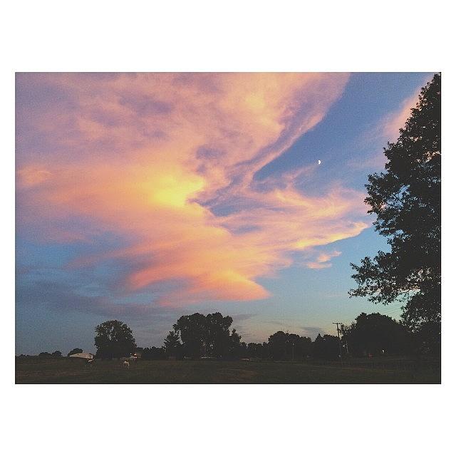 Tree Photograph - The Sky Last Night. #pictapgo_app by Marchellem Mosley