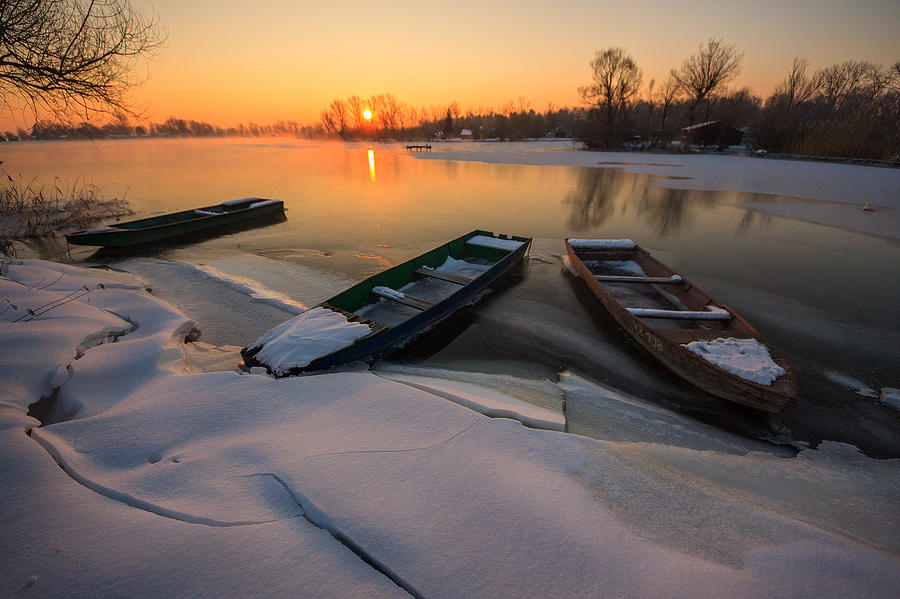 The sleeping trio Photograph by Davorin Mance