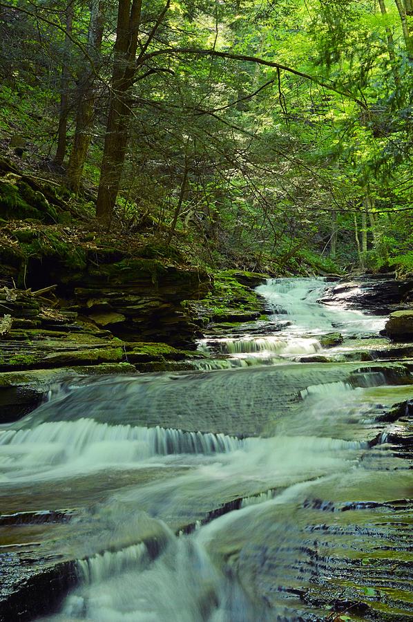 The Slide #1 - Loyalsock State Forest Photograph by Joel E Blyler ...