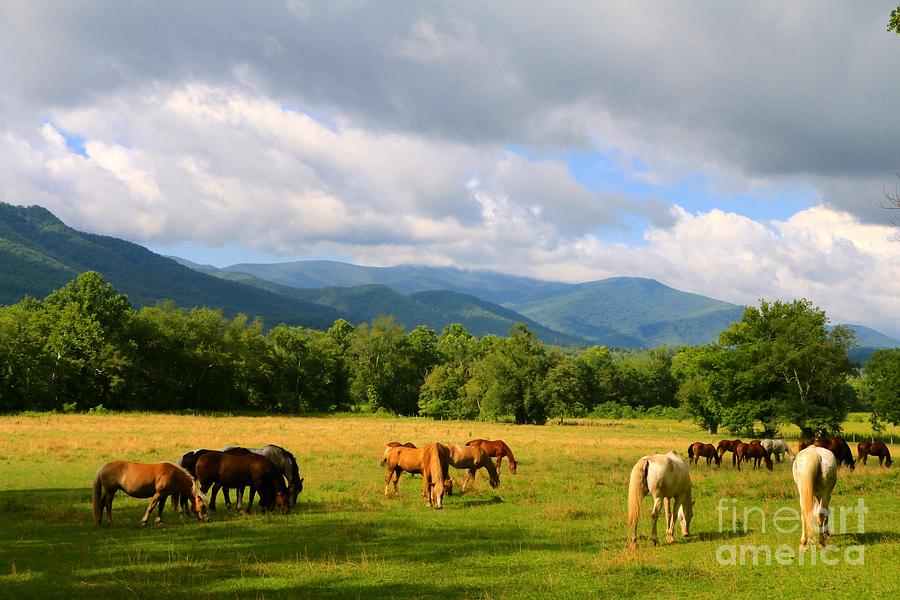 The Smokies Photograph by Jay Nodianos