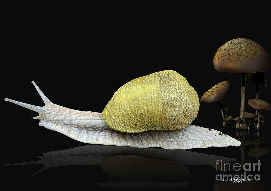 The Snail Digital Art by Melissa Messick