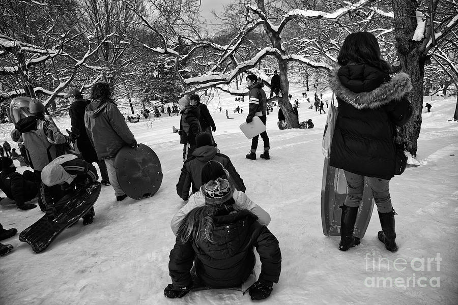 The Snowboarders Photograph by Madeline Ellis