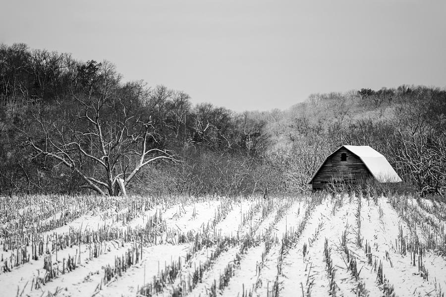 The Snowy Aftermath in Black and White Photograph by Todd Klassy