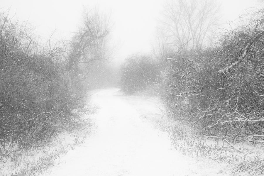 The Snowy Winter Path Photograph by Gary Heller