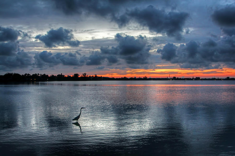 The Solitary Fisherman - Florida Sunset Photograph by HH Photography of Florida