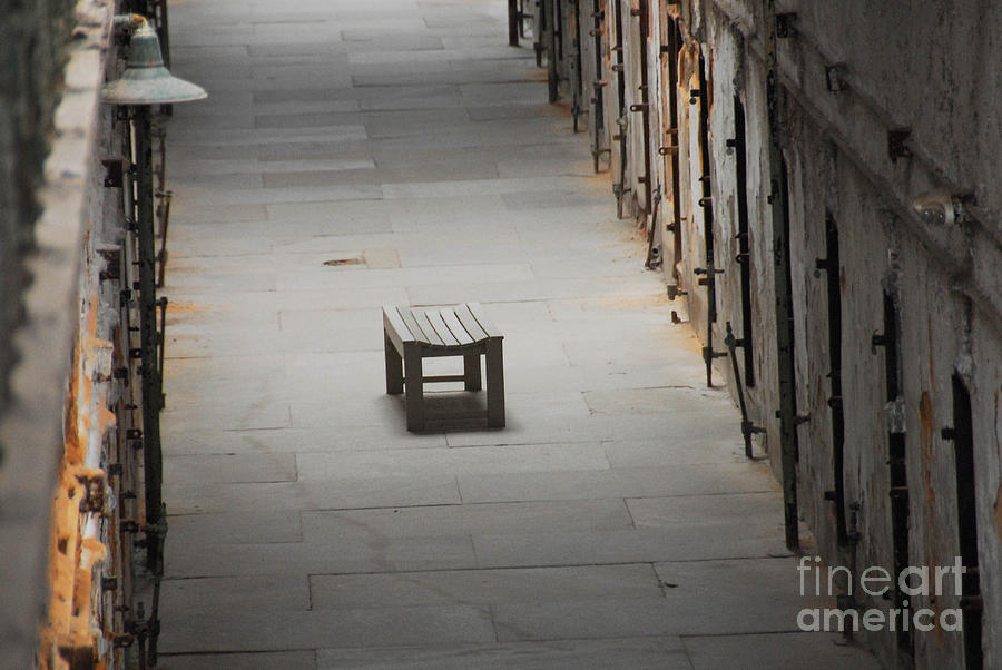 The Solitary Seat Photograph by Cindy Manero