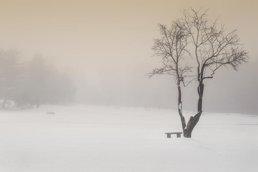 Winter Photograph - The Solitude of Winter by Bill Wakeley