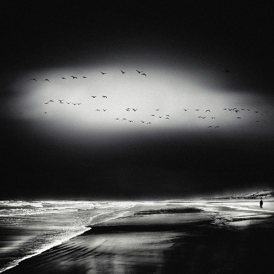 Black And White Photograph - The Song Of The Wet Sands by Piet Flour