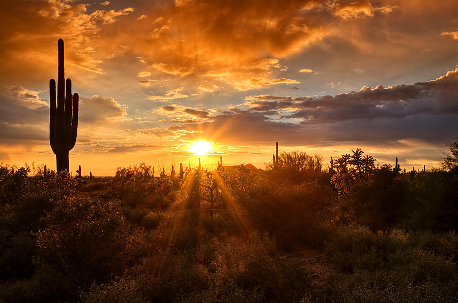 Sunset Photograph - The Sonoran Skies  by Saija Lehtonen