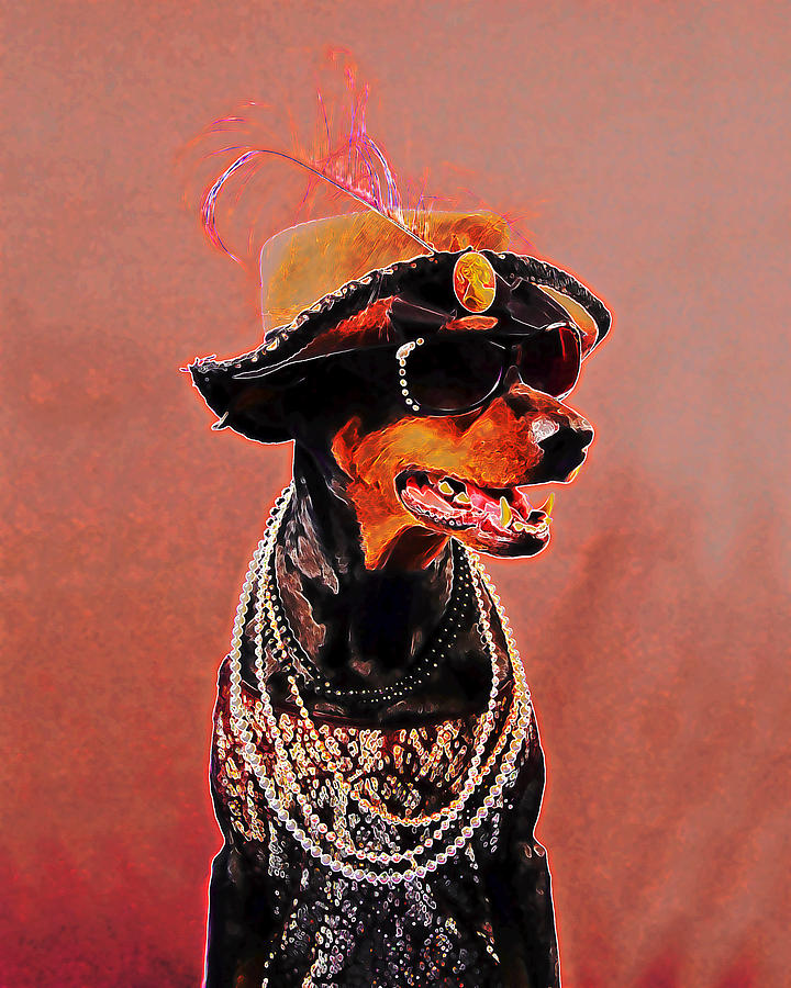 The Sophisticated Dobe by Brian Graybill The Sophisticated Dobe by Brian Graybill