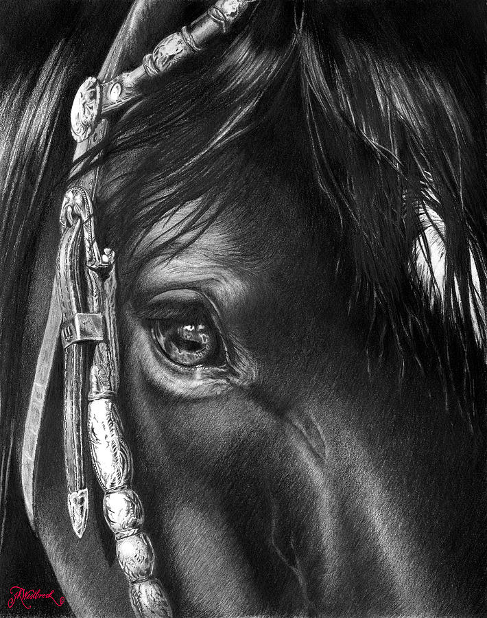 the Soul of a Horse Painting by Jill Westbrook