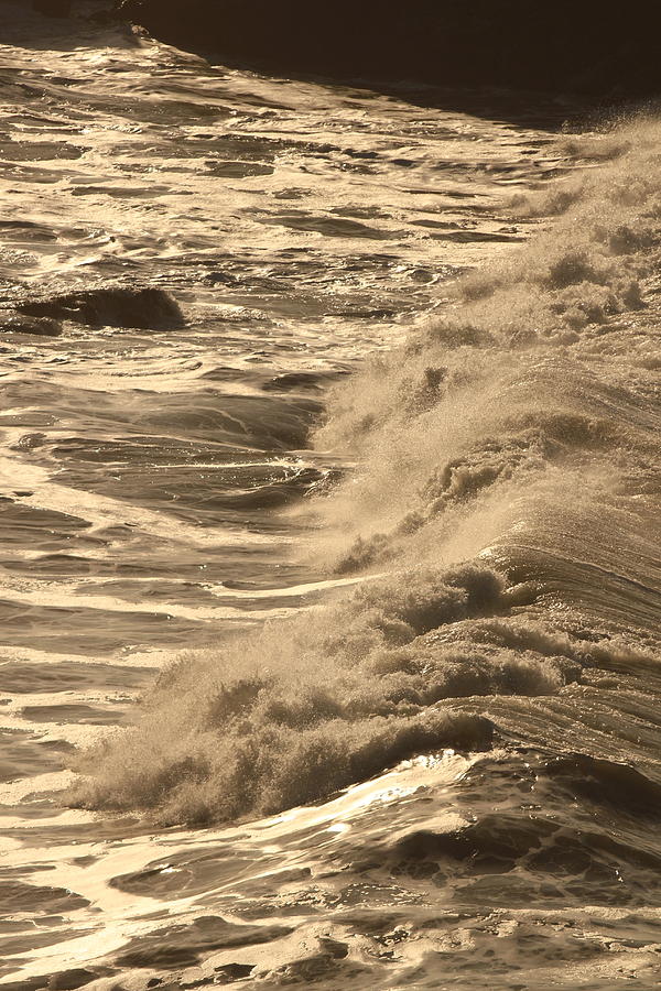 Beach Photograph - The Sound and The Fury by Laddie Halupa