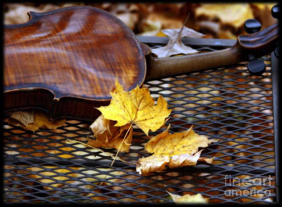 Music Photograph - The Sound of November  by Steven Digman