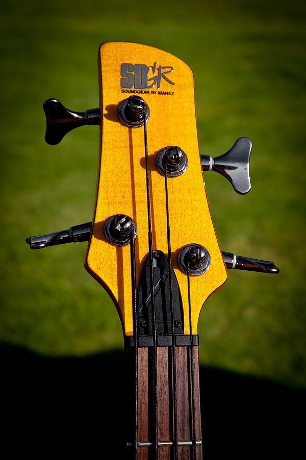 The Soundgear Guitar by Ibanez Photograph by David Patterson