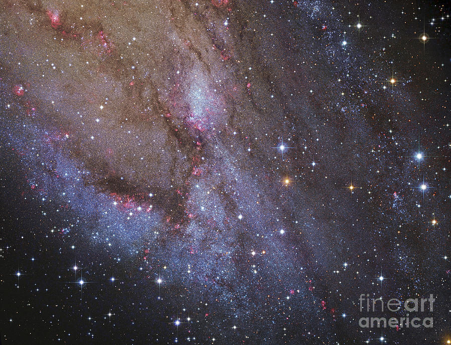 The Southwest Spiral Arm Of Messier 31 Photograph by Robert Gendler
