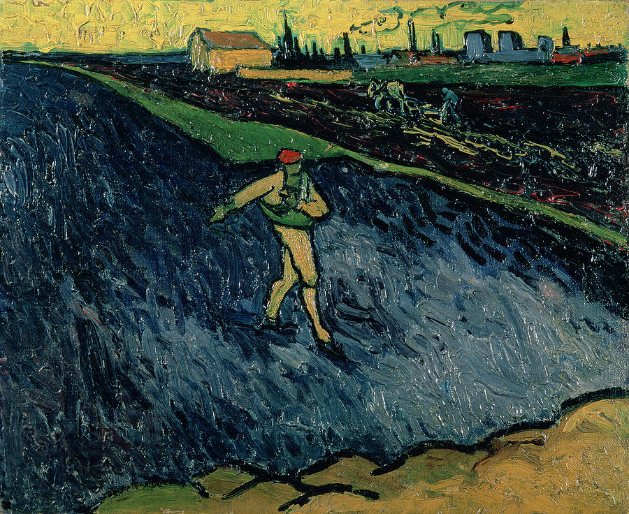 Vincent Van Gogh Painting - The Sower by Vincent van Gogh