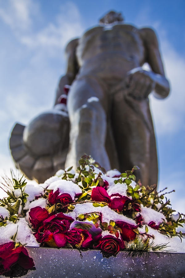 The Spartan with Roses 2 Photograph by John McGraw