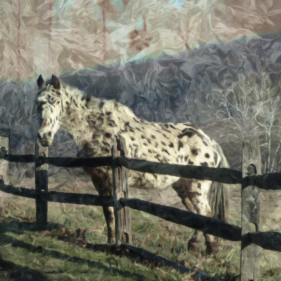 The Speckled Horse Photograph by Trish Tritz