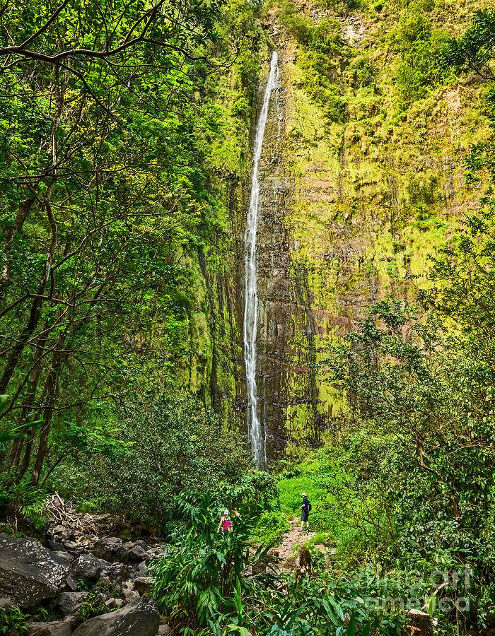 Haleakala National Park Photograph - The spectacular and large Waimoku Falls in Maui. by Jamie Pham