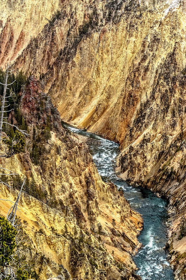 The Spectacular Yellowstone Canyon Photograph by Yeates Photography