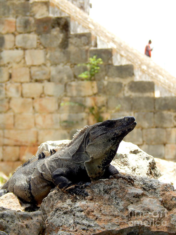 The Spirit Of Uxmal In Yucatan Mexico Photograph by Michael Hoard