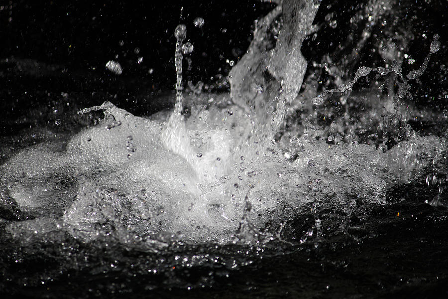 The Splash Photograph by Edward Hawkins II