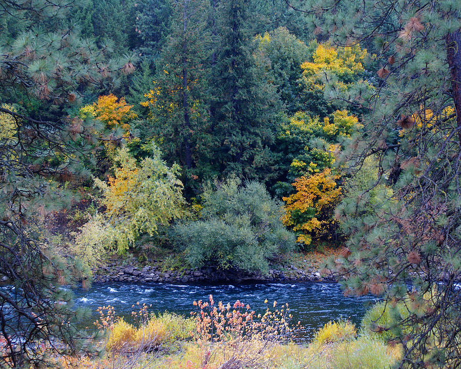 The Spokane River in the Fall Colors Photograph by Ben Upham III