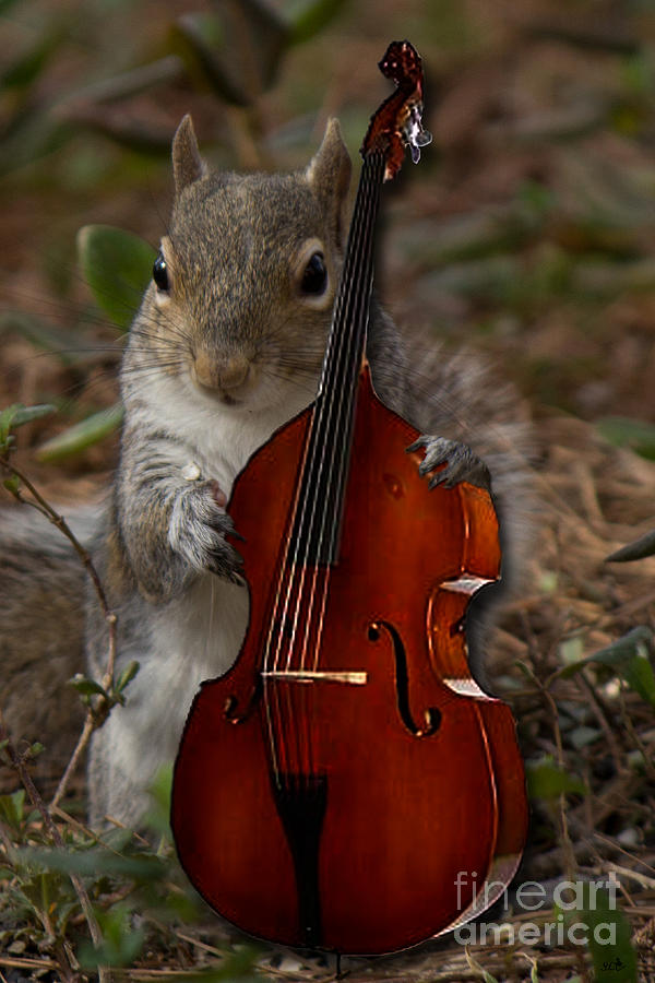 The squirrel and his Double Bass Photograph by Sandra Clark