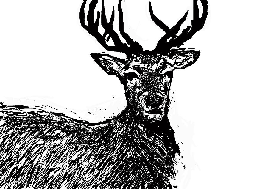 The Stag Digital Art