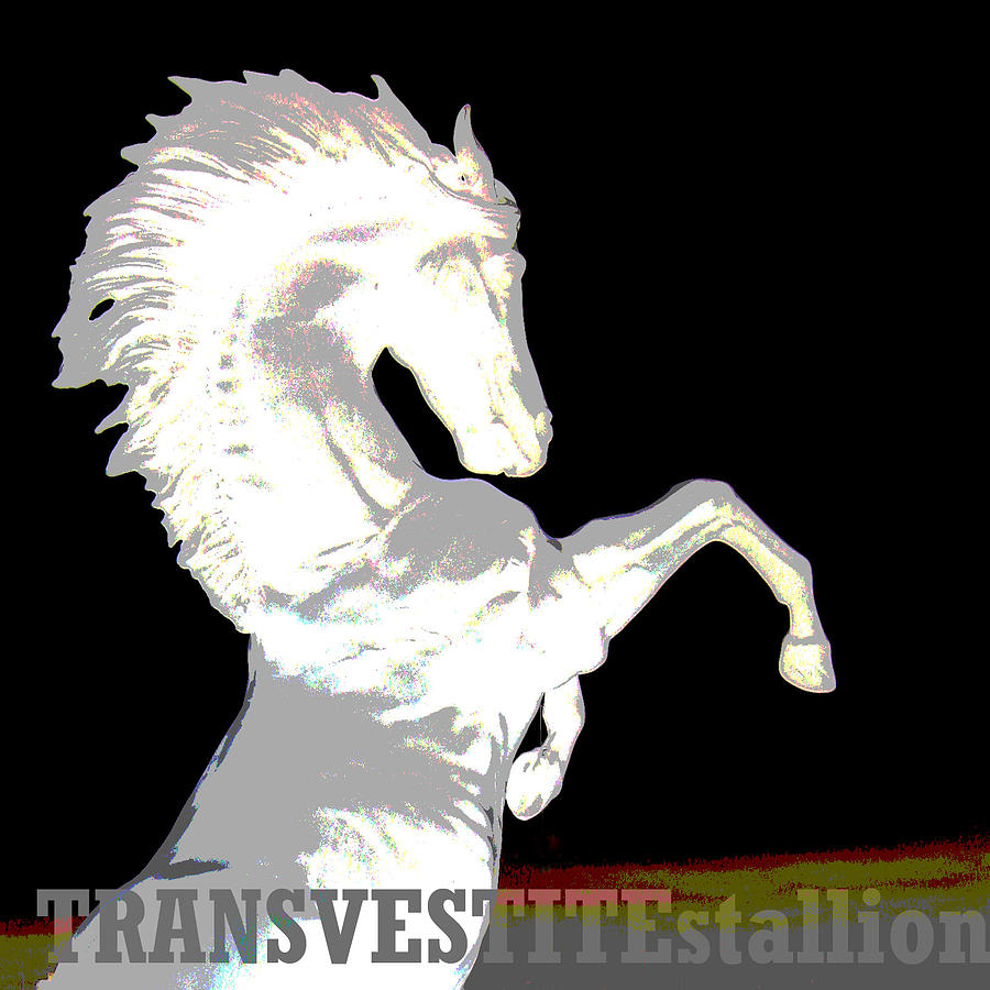 Music Mixed Media - The Stallion TRANSVESTITEstallion band poster design by Danny Hennesy