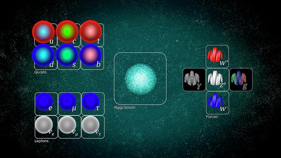 Bottom Quark Photograph - The Standard Model by Cern/science Photo Library