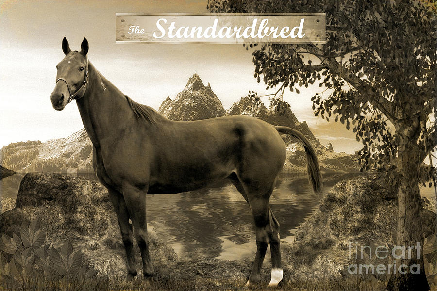 The Standardbred Photograph by Davandra Cribbie
