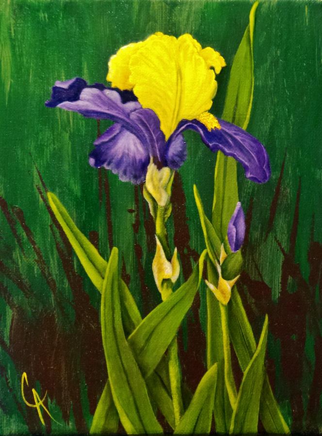 Iris Painting - The Standout by Carol Avants