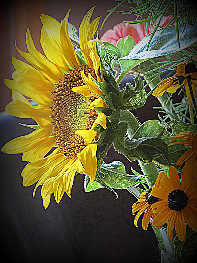 Sunflower Photograph - The Standout  by Kay Novy