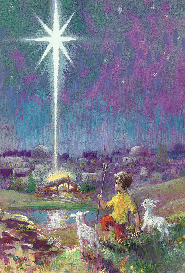 Sheep Painting - The Star Of Bethlehem  by Stanley Cooke