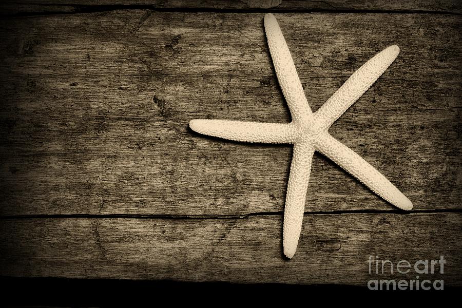 Black And White Photograph - The Starfish by Paul Ward