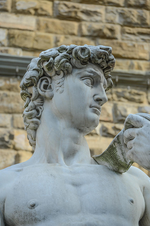 The Statue Of David By Michelangelo On The Piazza Della Signoria