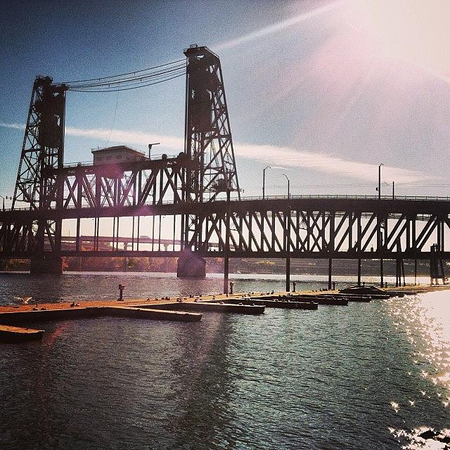 The Steel Bridge In Portland, Oregon Photograph by Mike Warner