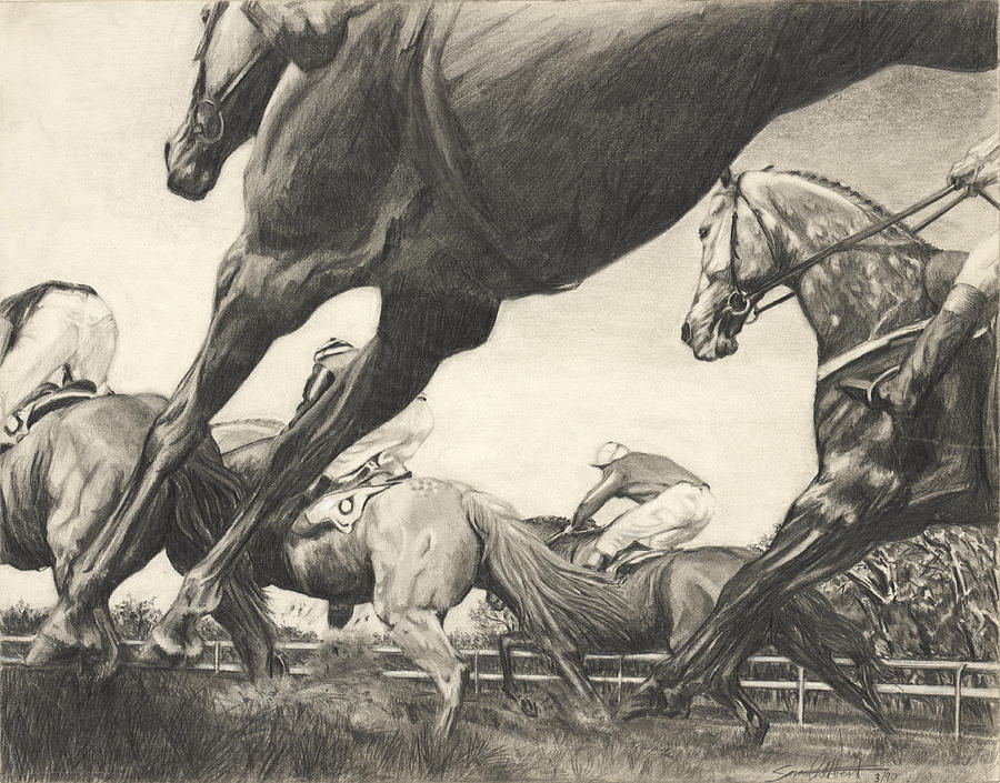 Horse Drawing - The Steeplechase by Sara Cuthbert