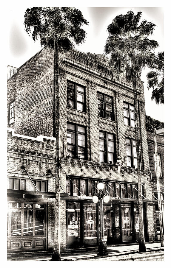 Tampa Photograph - The Stein Building by Marvin Spates