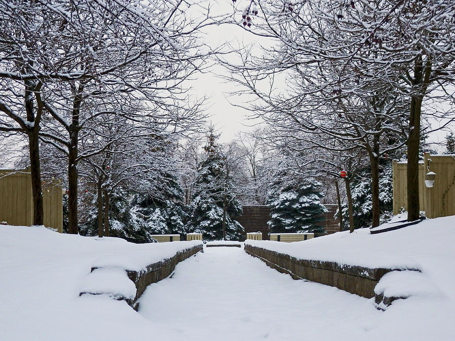 The Stillness of Winter Photograph by Pema Hou