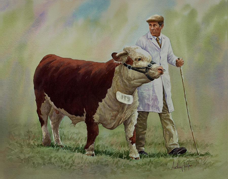 Bull Painting - The Stockman And Bull by Anthony Forster Bull Painting - The Stockman And Bull by Anthony Forster