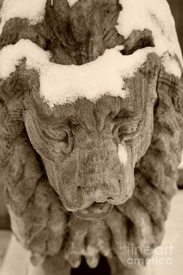 The Stone Lions Frozen Tear Photograph by John Harmon