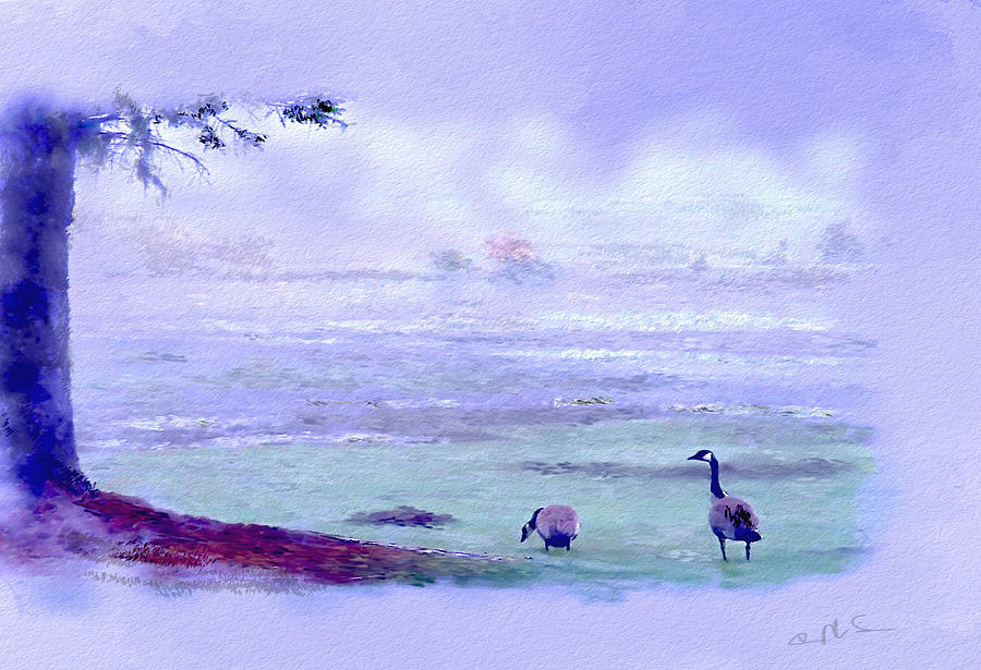 Geese Digital Art - The Stop Over by Dale Stillman