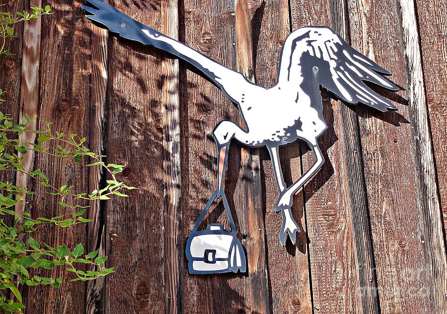 The Stork Alsace Symbol Photograph by Amalia Suruceanu