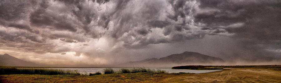 The Storm Photograph by Cat Connor