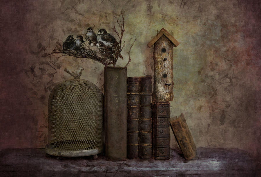 Still Life Photograph - The Story of Love by Robin-Lee Vieira